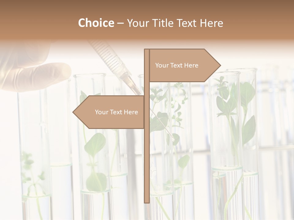 Test Liquid Scientific PowerPoint Template