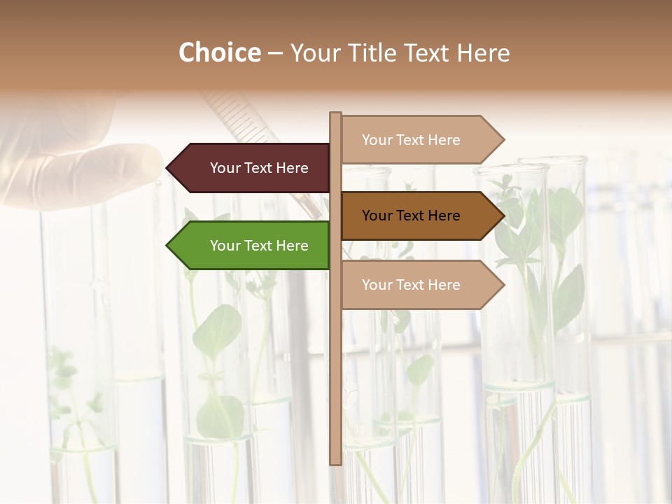 Test Liquid Scientific PowerPoint Template