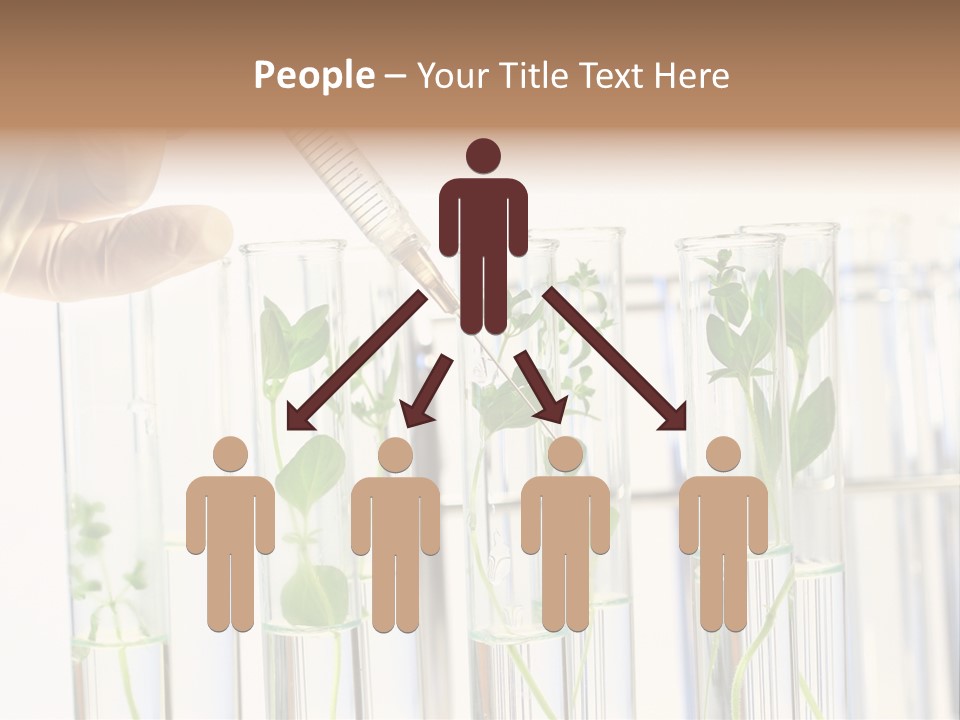 Test Liquid Scientific PowerPoint Template