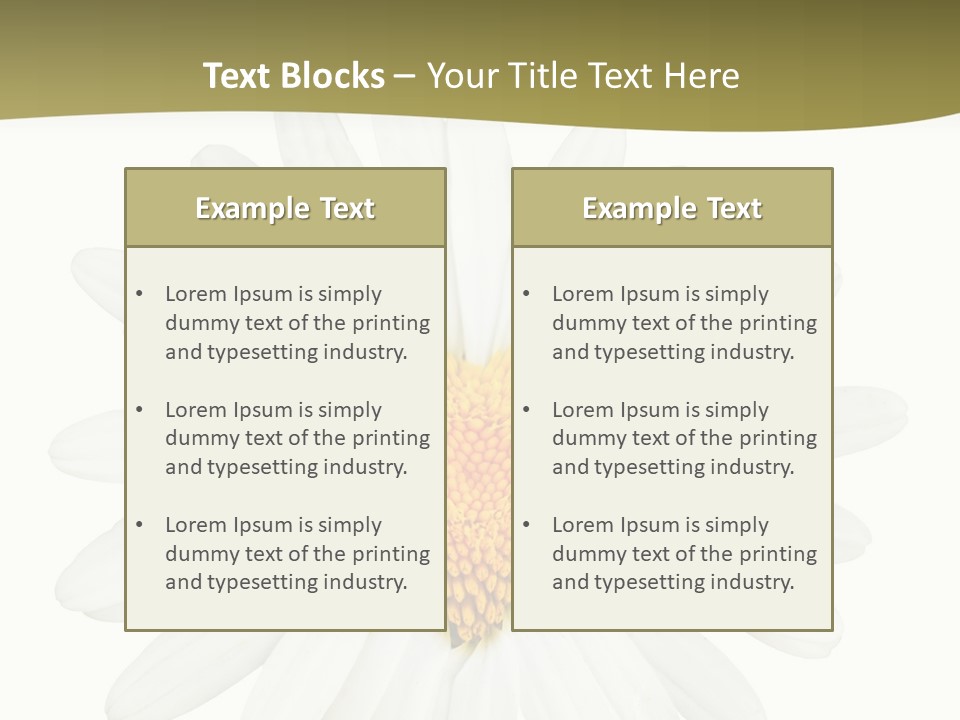 Isolated Closeup Background PowerPoint Template