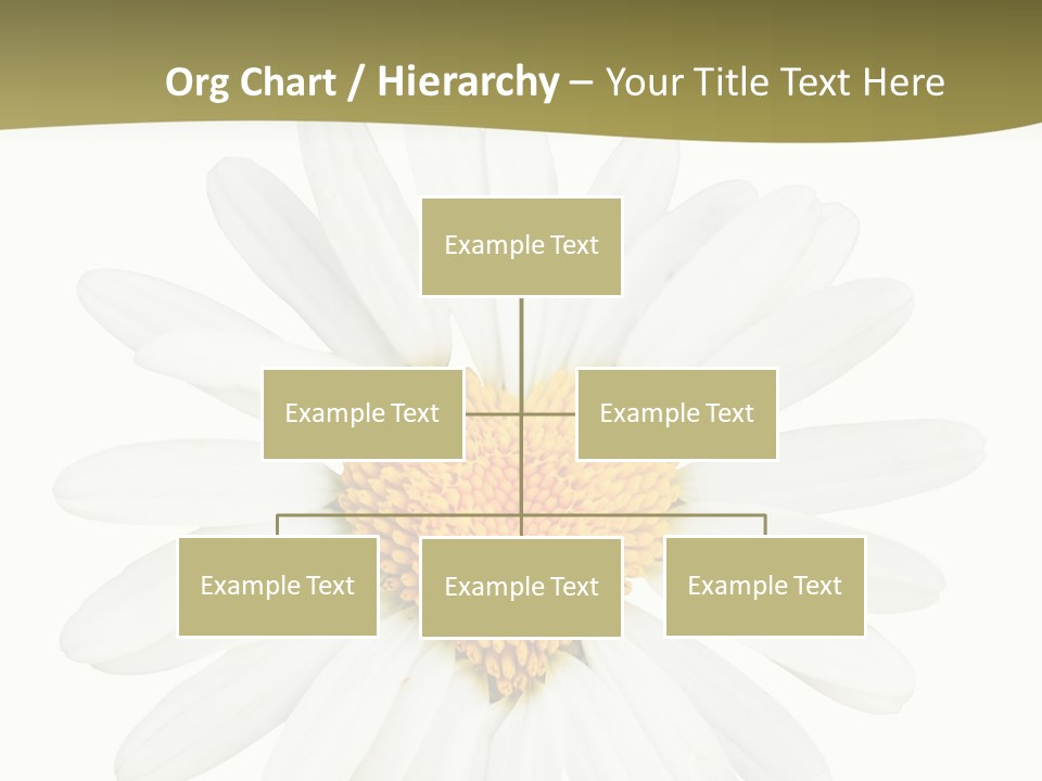 Isolated Closeup Background PowerPoint Template