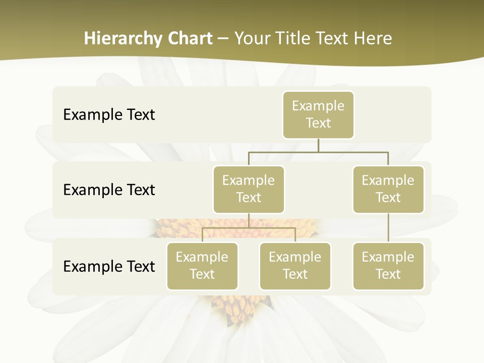 Isolated Closeup Background PowerPoint Template