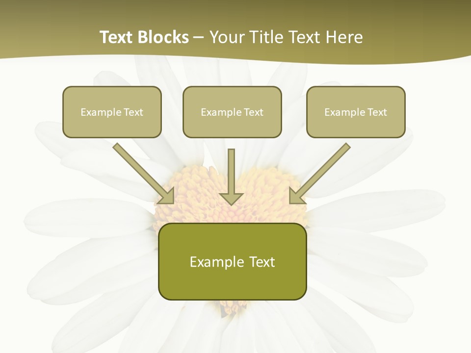 Isolated Closeup Background PowerPoint Template