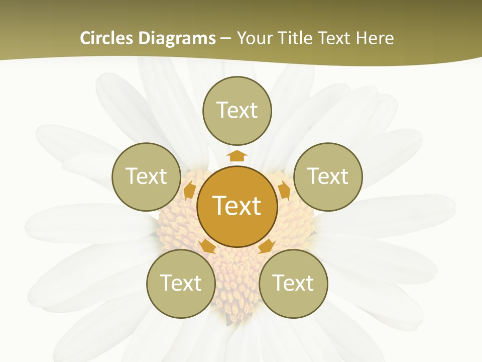 Isolated Closeup Background PowerPoint Template