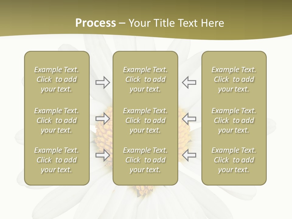 Isolated Closeup Background PowerPoint Template