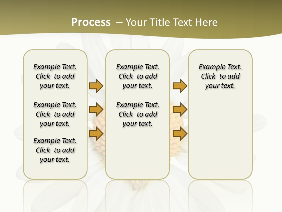 Isolated Closeup Background PowerPoint Template