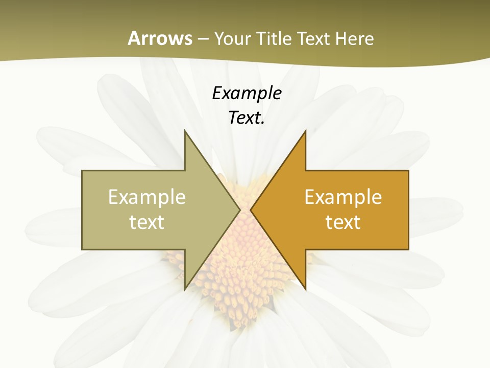Isolated Closeup Background PowerPoint Template