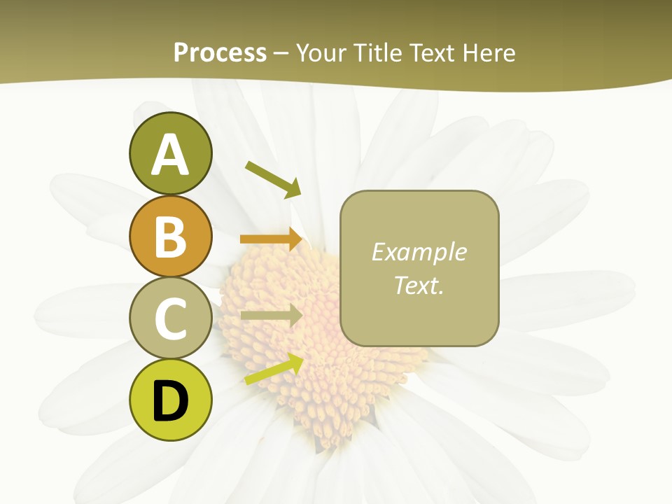 Isolated Closeup Background PowerPoint Template