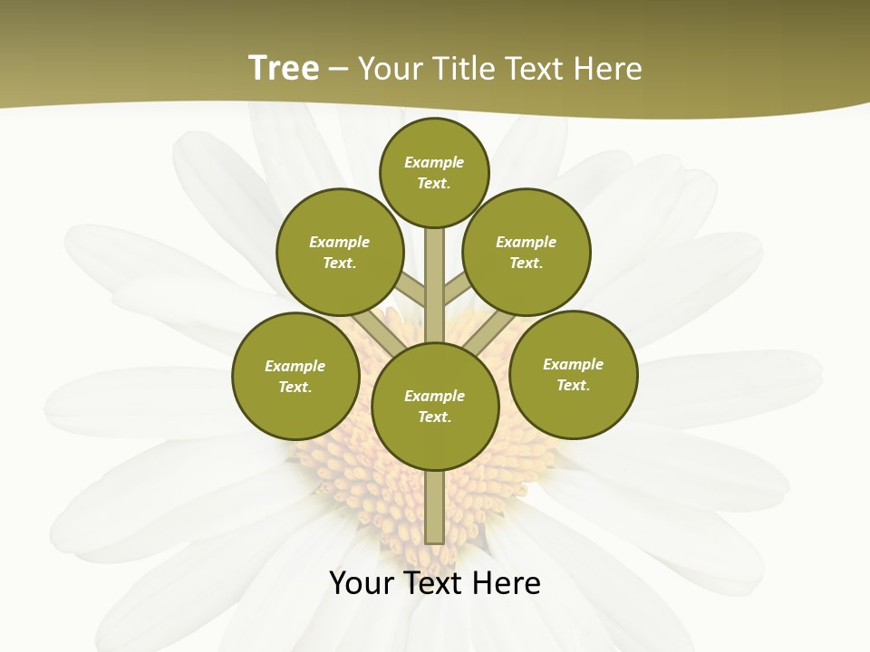 Isolated Closeup Background PowerPoint Template