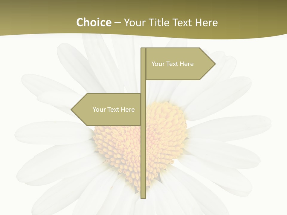 Isolated Closeup Background PowerPoint Template