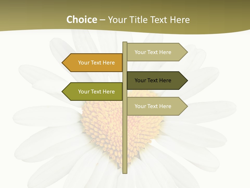 Isolated Closeup Background PowerPoint Template