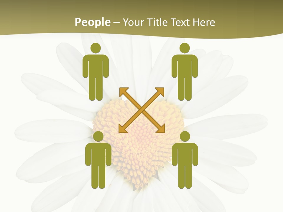 Isolated Closeup Background PowerPoint Template