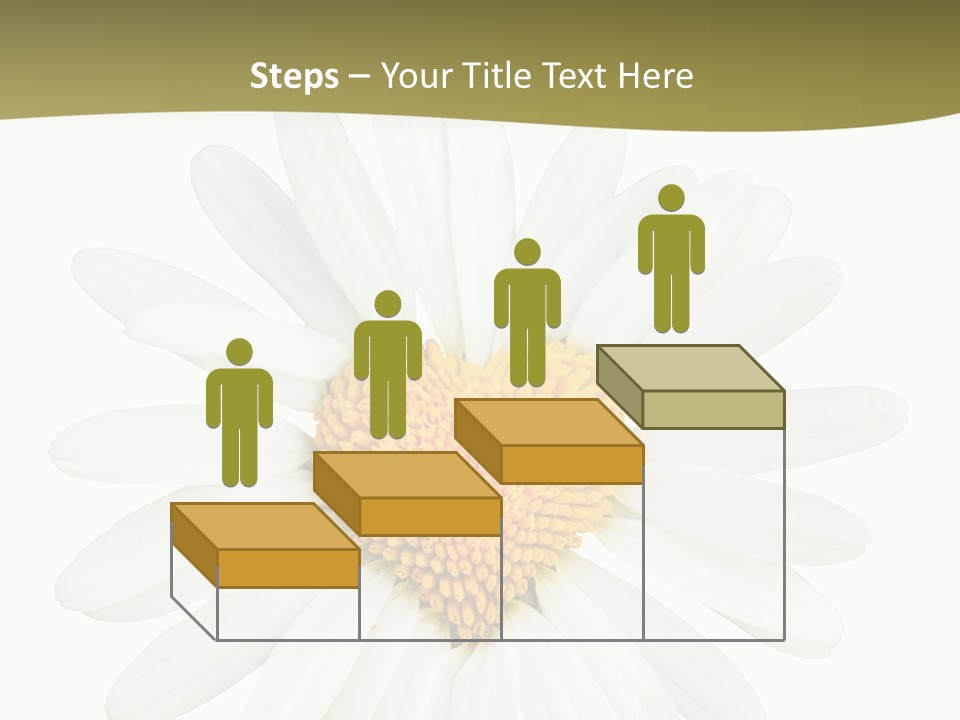 Isolated Closeup Background PowerPoint Template