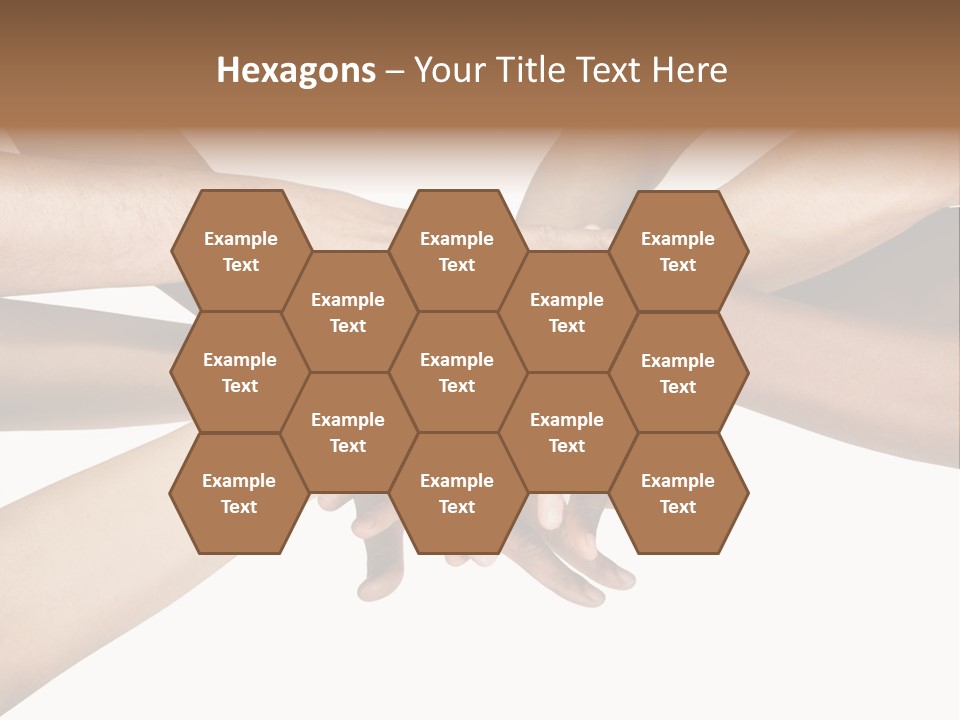 Large Medium Latin PowerPoint Template