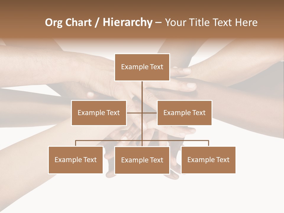 Large Medium Latin PowerPoint Template
