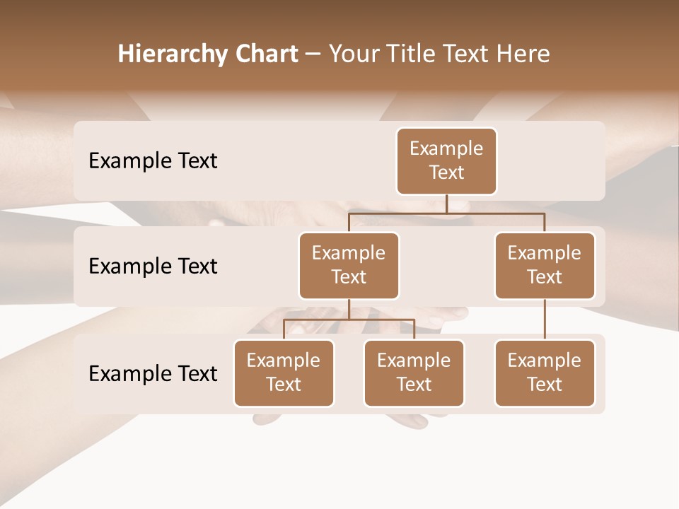 Large Medium Latin PowerPoint Template