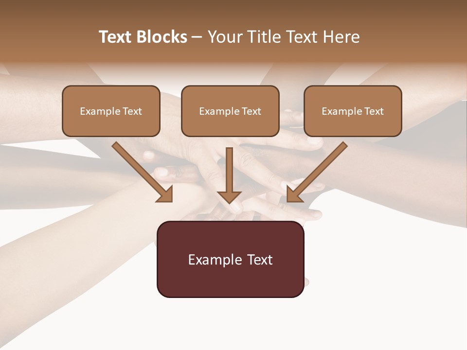 Large Medium Latin PowerPoint Template