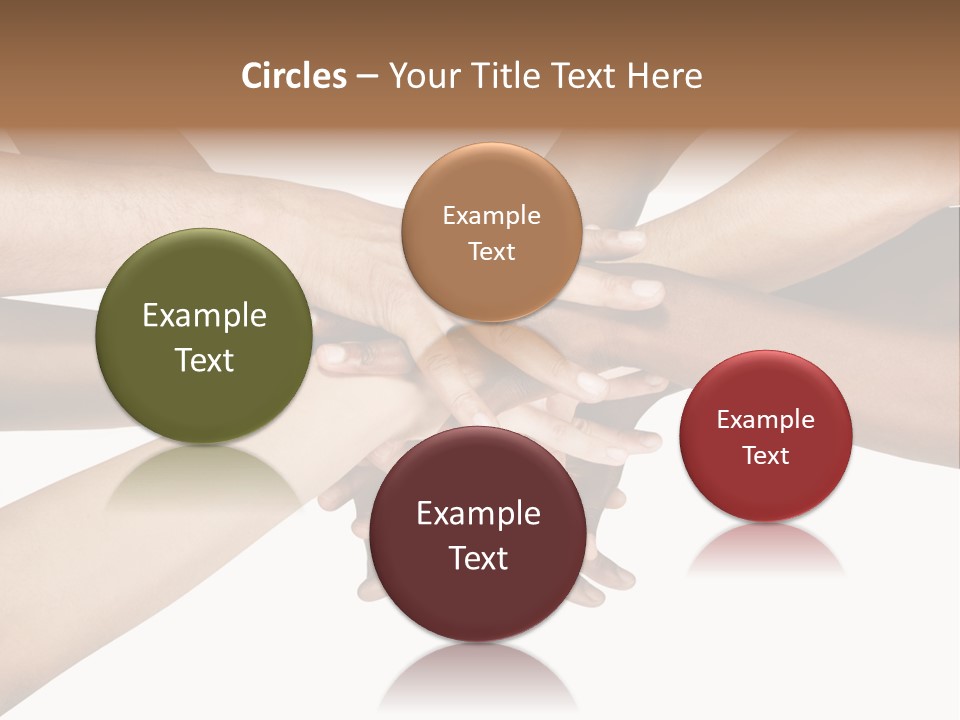 Large Medium Latin PowerPoint Template