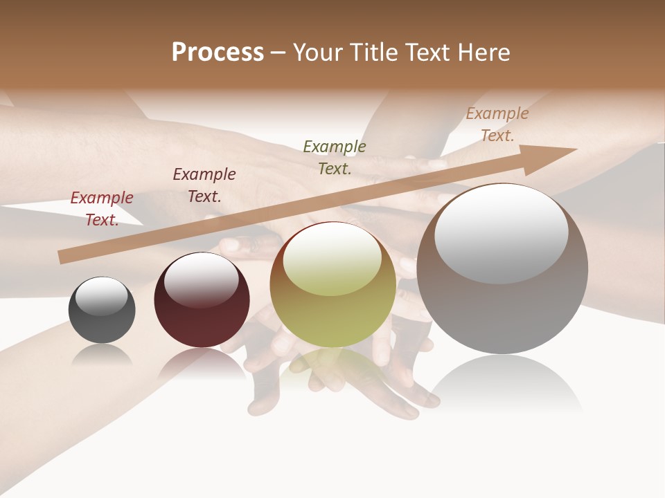 Large Medium Latin PowerPoint Template