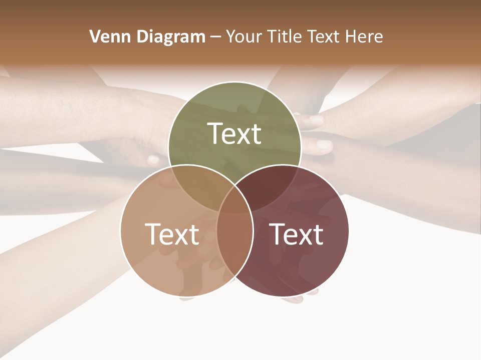 Large Medium Latin PowerPoint Template