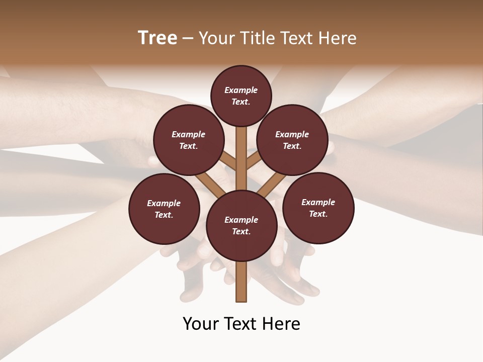 Large Medium Latin PowerPoint Template