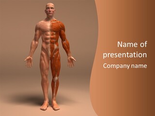 Education Man Health PowerPoint Template