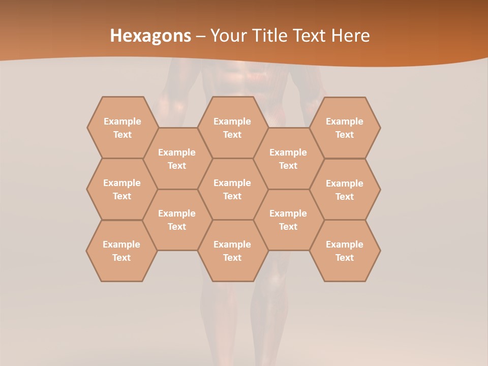 Education Man Health PowerPoint Template