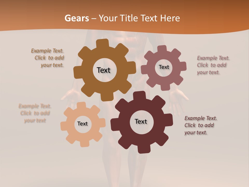 Education Man Health PowerPoint Template