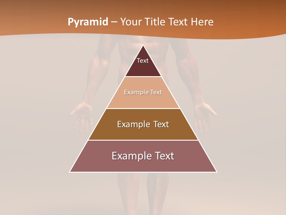 Education Man Health PowerPoint Template