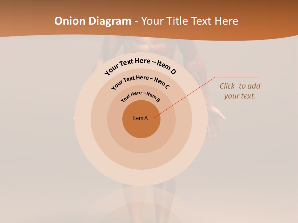 Education Man Health PowerPoint Template