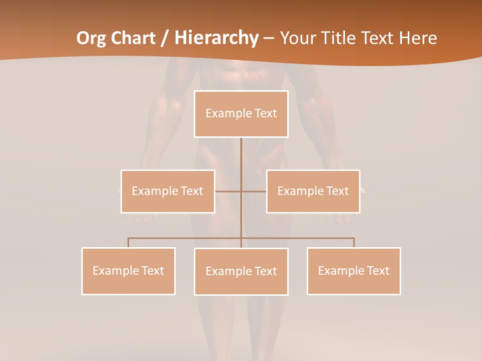 Education Man Health PowerPoint Template