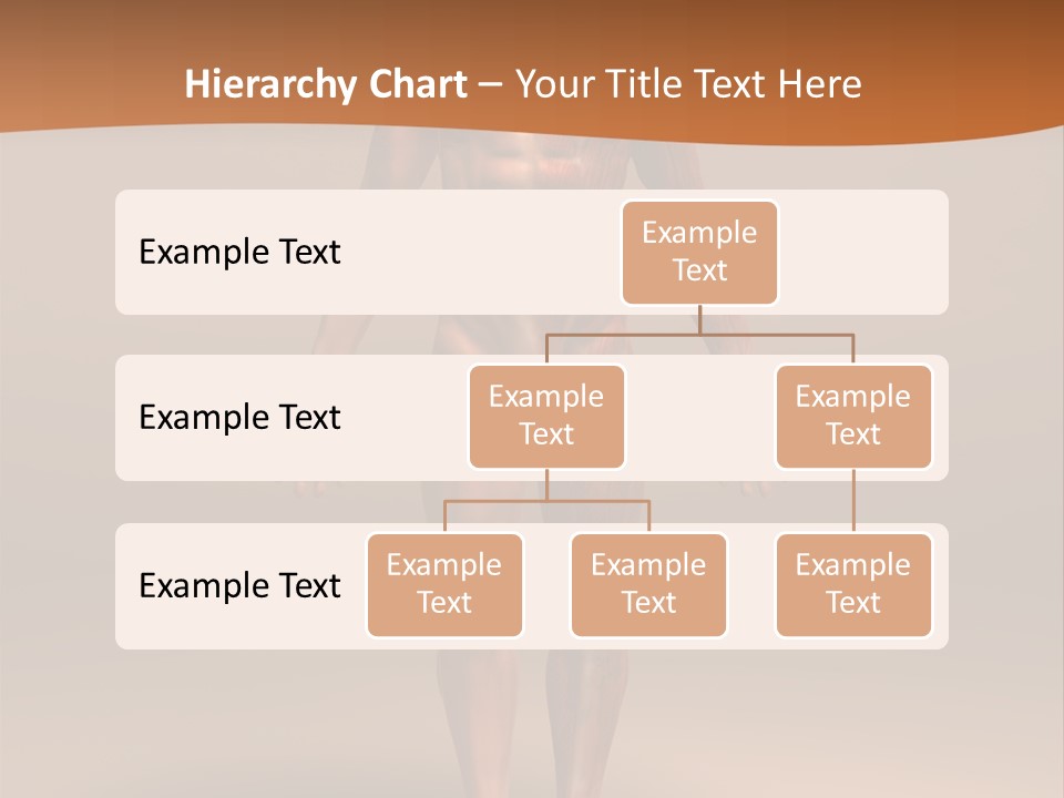 Education Man Health PowerPoint Template