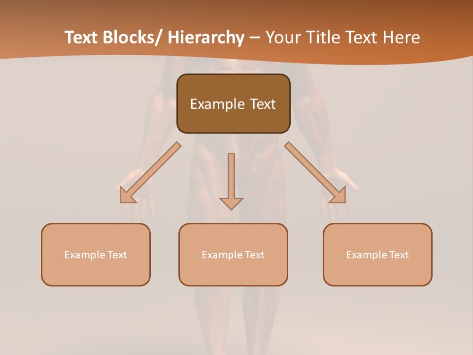 Education Man Health PowerPoint Template