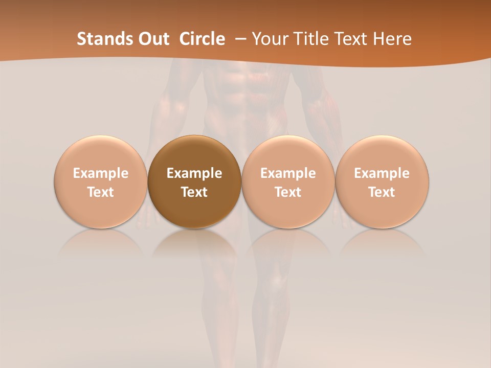 Education Man Health PowerPoint Template