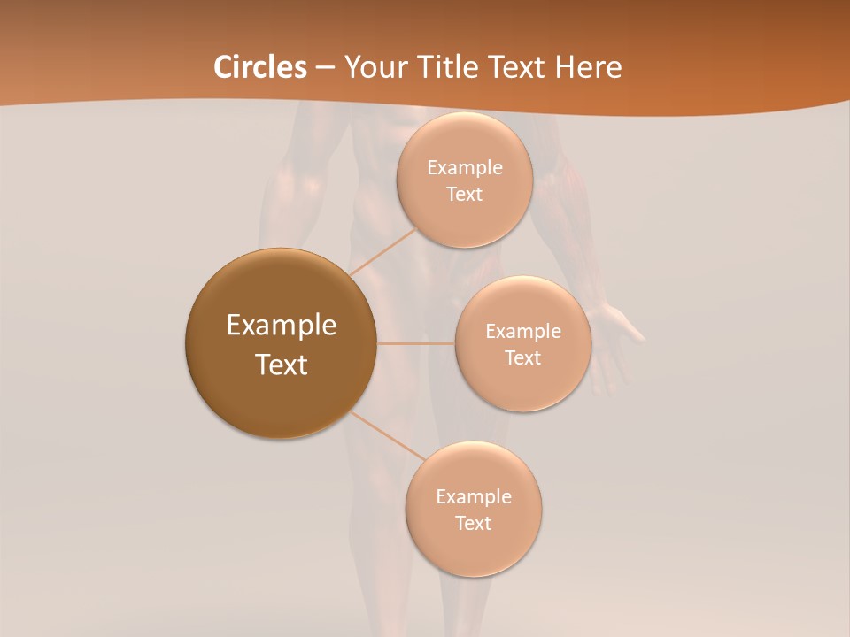 Education Man Health PowerPoint Template