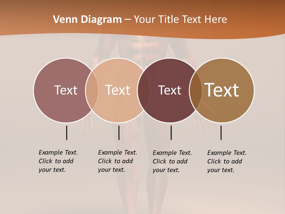Education Man Health PowerPoint Template