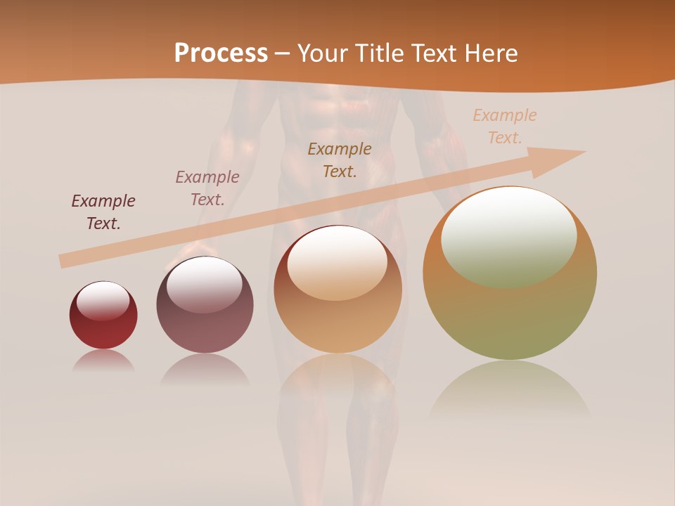 Education Man Health PowerPoint Template