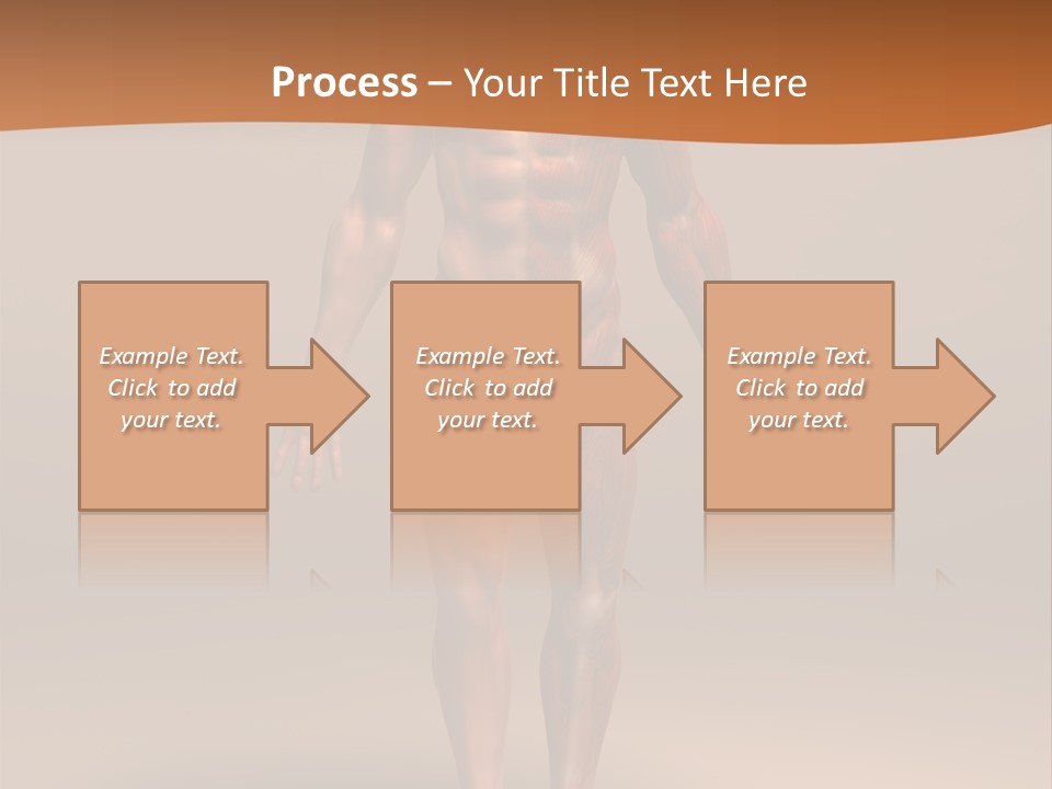 Education Man Health PowerPoint Template