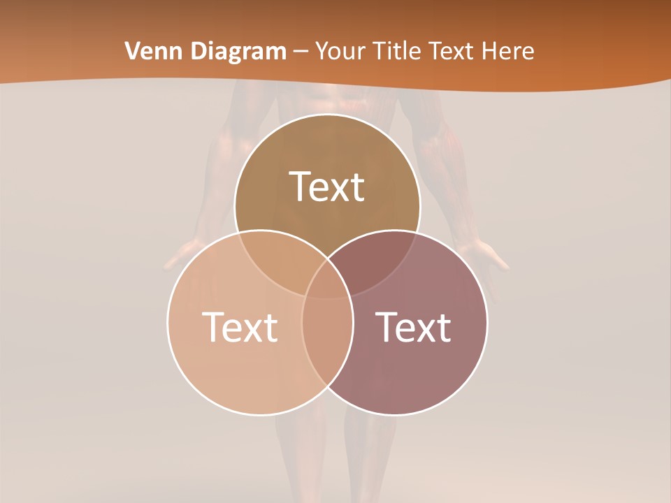 Education Man Health PowerPoint Template