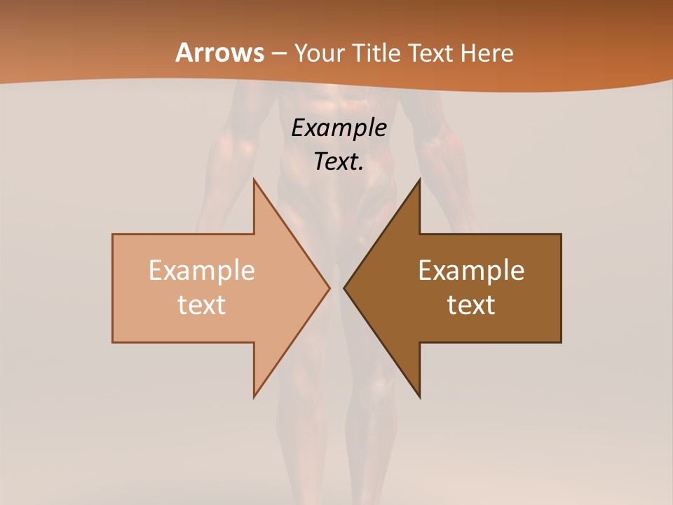 Education Man Health PowerPoint Template