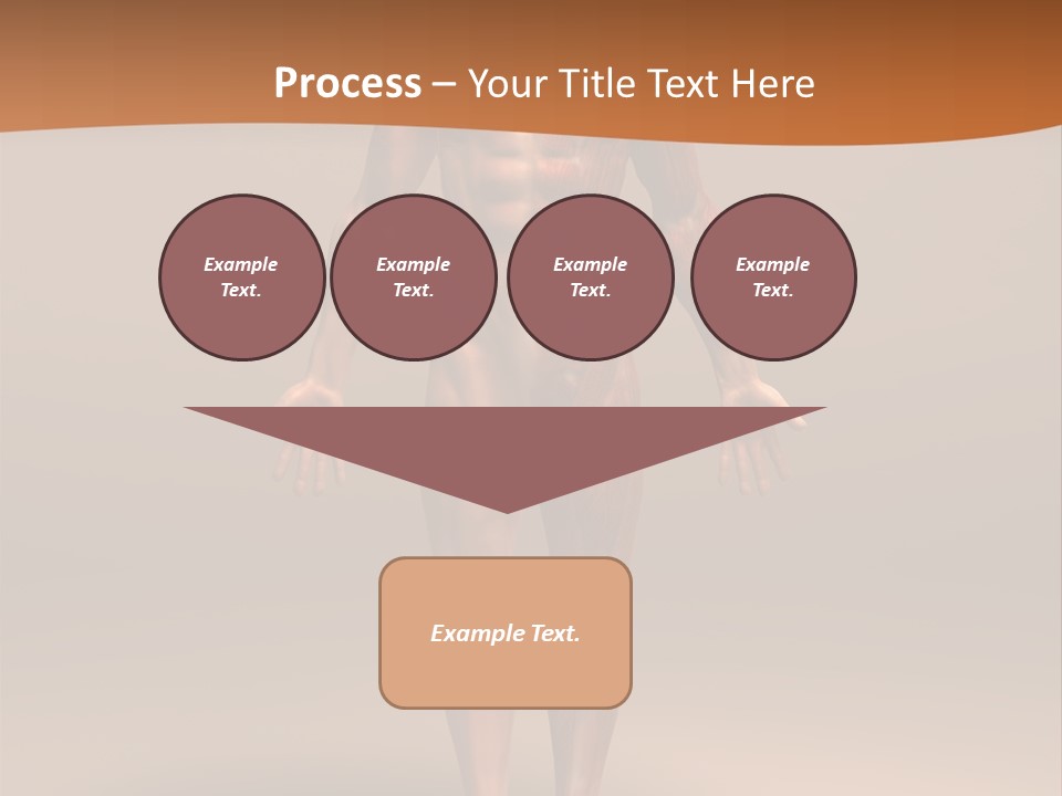 Education Man Health PowerPoint Template