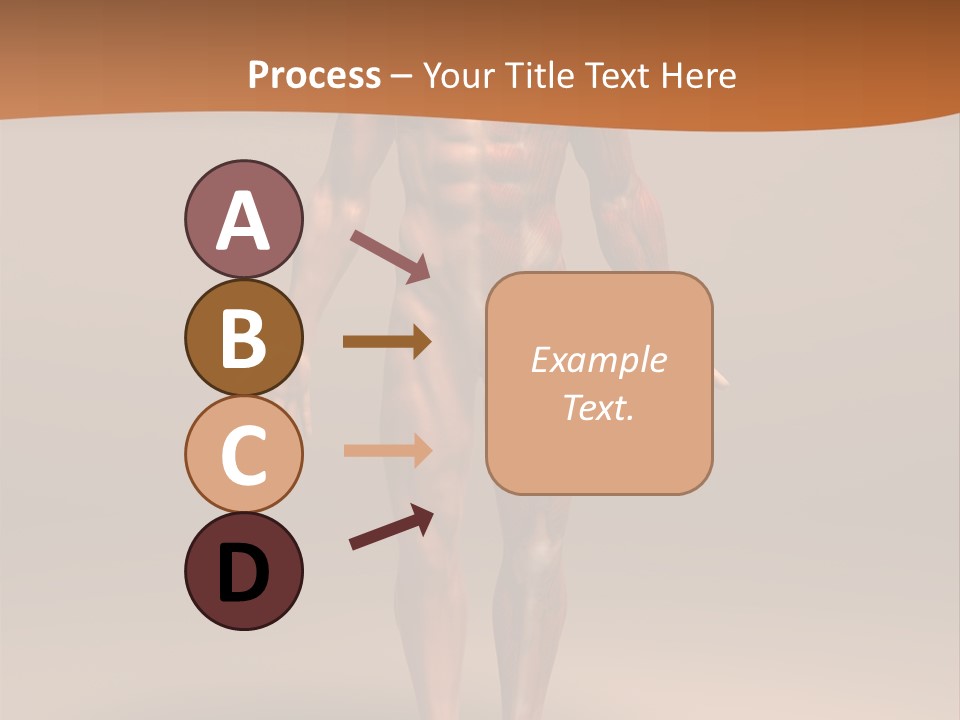 Education Man Health PowerPoint Template