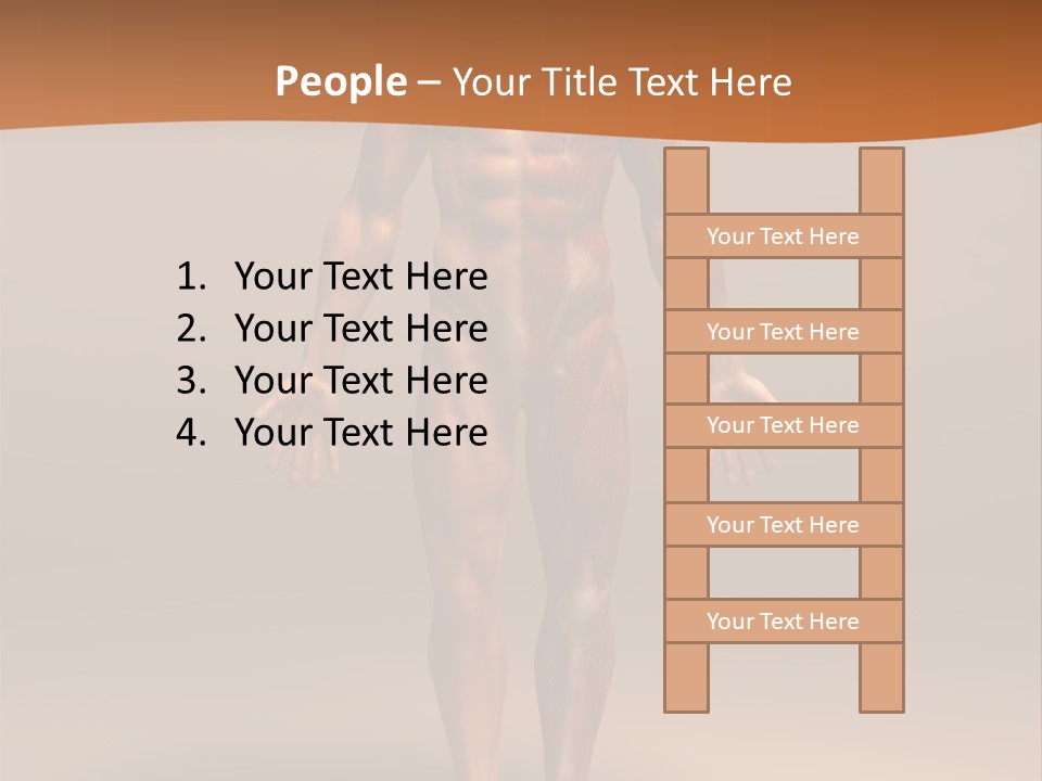 Education Man Health PowerPoint Template