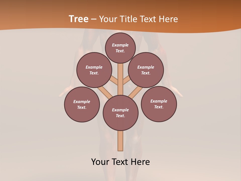 Education Man Health PowerPoint Template