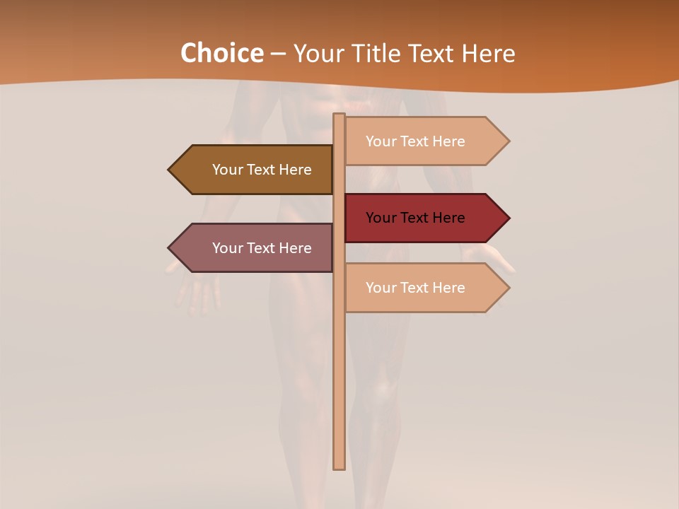 Education Man Health PowerPoint Template