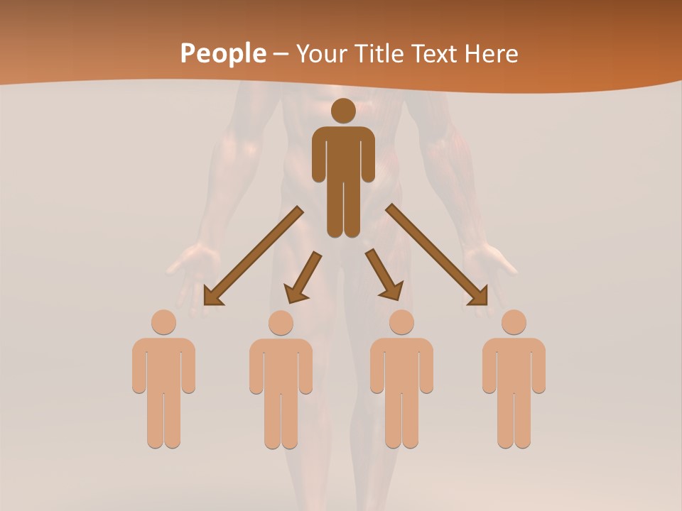 Education Man Health PowerPoint Template