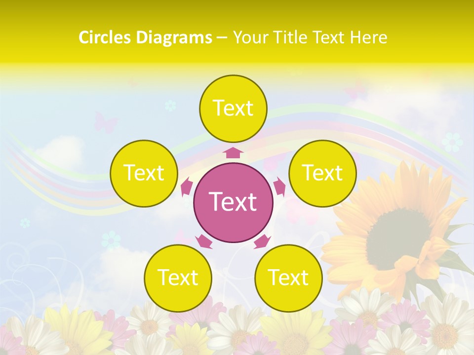A Sunflower In A Field Of Flowers With A Rainbow In The Background PowerPoint Template
