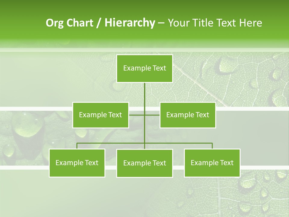 Grassland Dew Texture PowerPoint Template