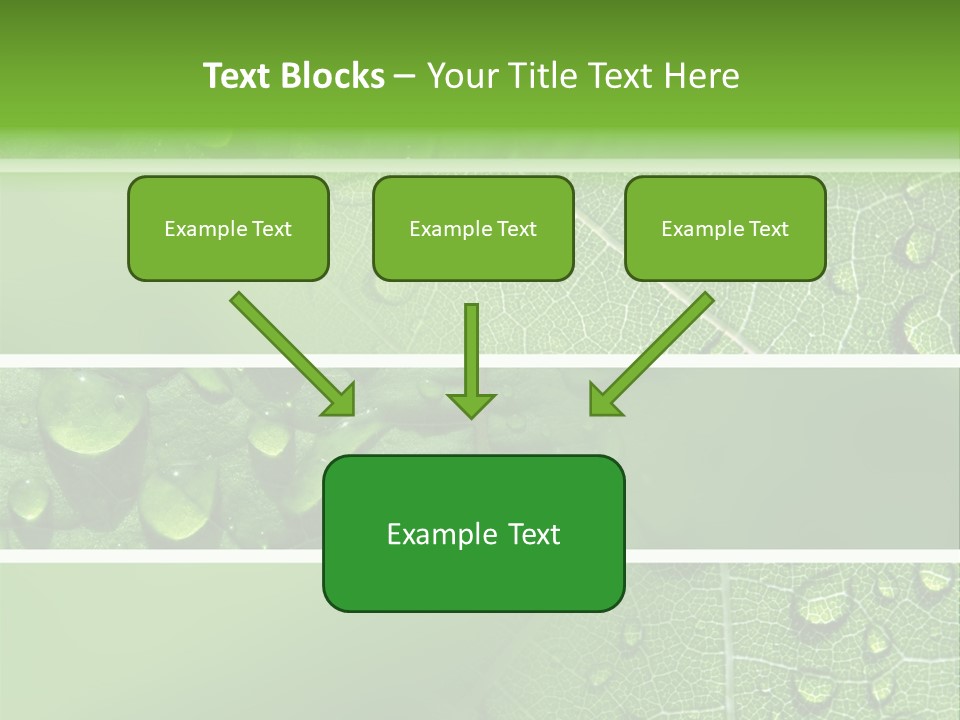 Grassland Dew Texture PowerPoint Template
