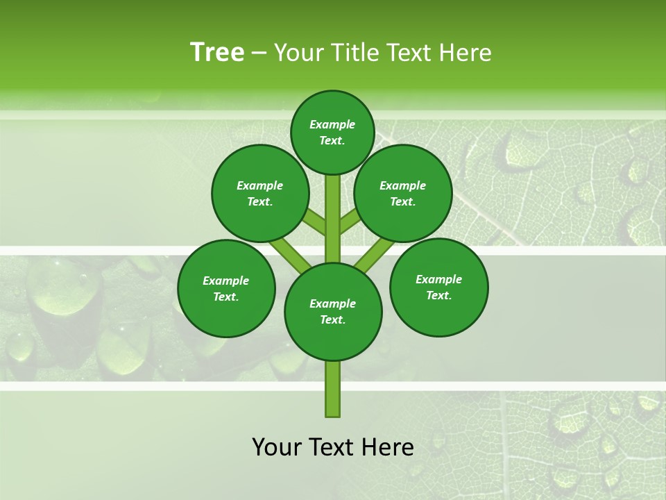 Grassland Dew Texture PowerPoint Template